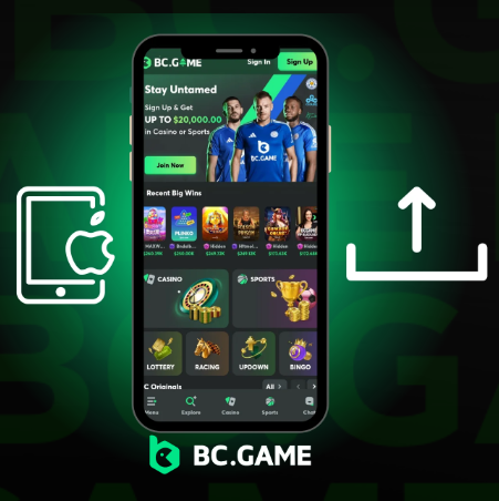 Discover the Thrills of BC Game Casino 1