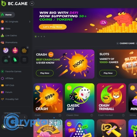 Unlocking Fun and Fortune Dive into BC Game