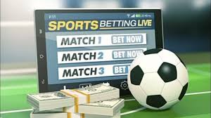 Discovering the World of Online Betting Bet100 Insights Discovering the World of Online Betting Bet100 Insights