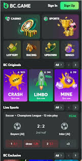 Understanding BC Game Payment Options A Comprehensive Guide Understanding BC Game Payment Options A Comprehensive Guide